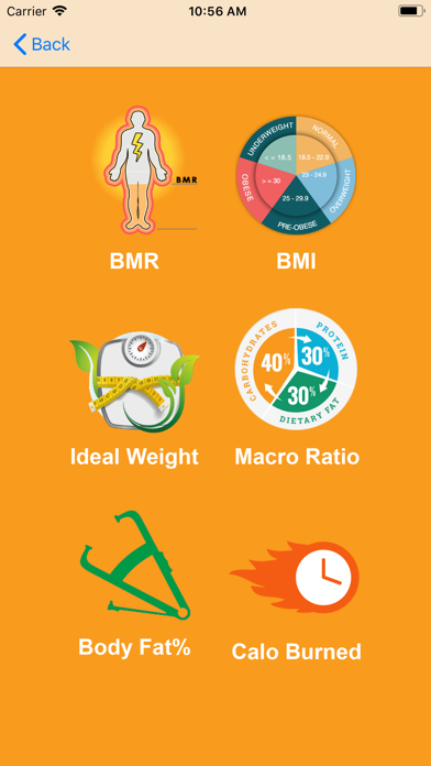 Health Metrics - BMI, BMR, IBW screenshot 2