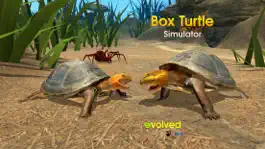 Game screenshot Box Turtle Simulator mod apk