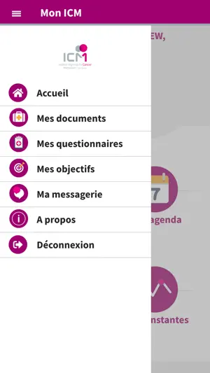 mon ICM screenshot 3