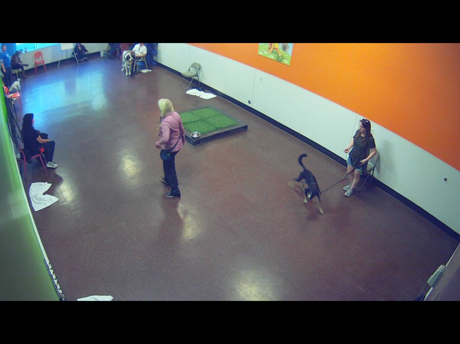 iSpy Cameras ipad screenshot 3