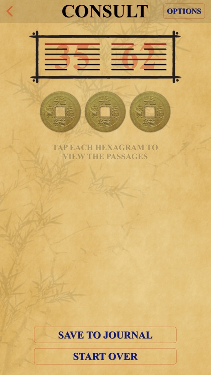 Wei Wu Wei Ching screenshot-4