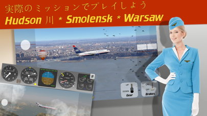 ７３７ フライトシュミレーター screenshot1