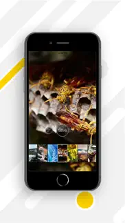 4k hd live wallpapers iphone screenshot 4