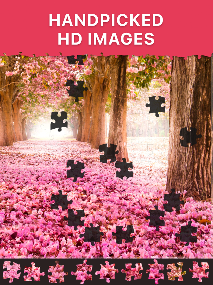 Daily Jigsaw Puzzles