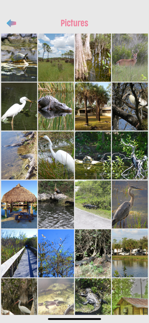 Big Cypress National Preserve(圖4)-速報App