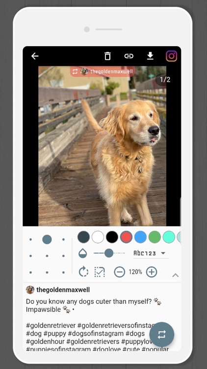 Multi Repost For Instagram screenshot-5