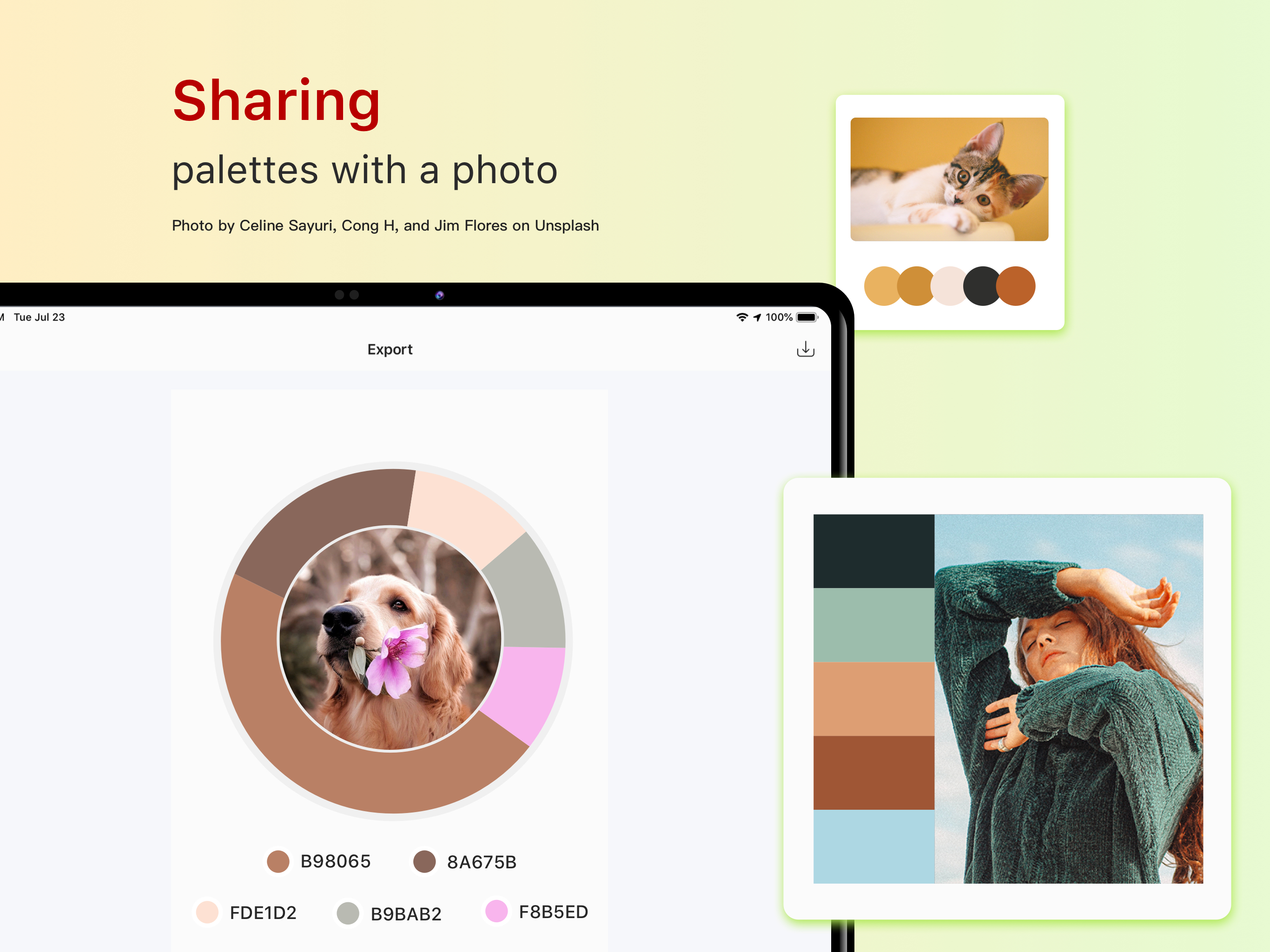 Color Collect - Palette Studio screenshot 14