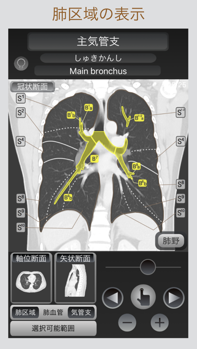 CT Passport 胸部スクリーンショット