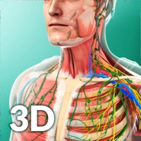  Human Anatomy Alternatives