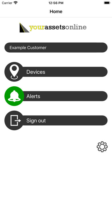 Your Assets Online Screenshot