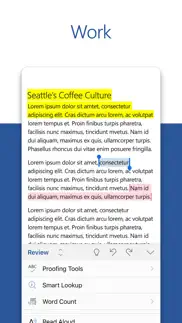 microsoft word iphone screenshot 3