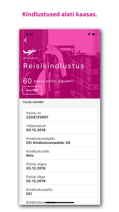 IIZI Screenshot