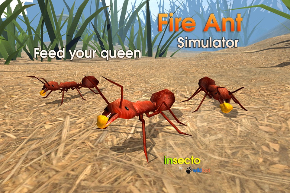 Fire Ant Simulator screenshot 3