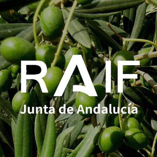 RAIF Andalucía Download