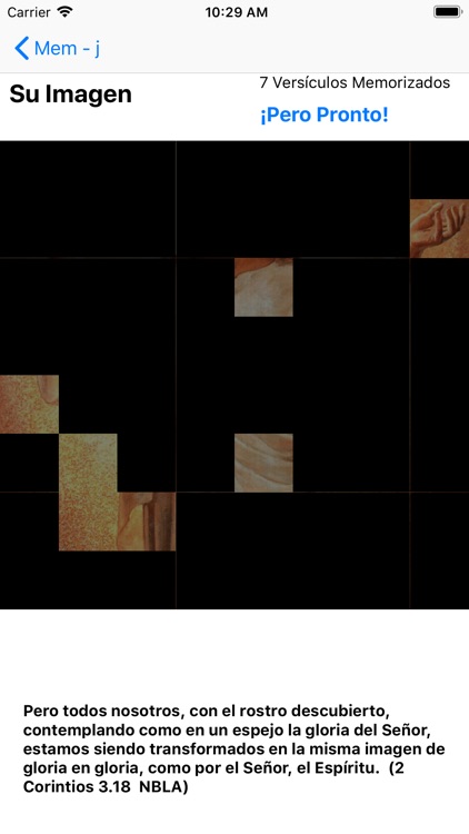 NavsTMSesp screenshot-6