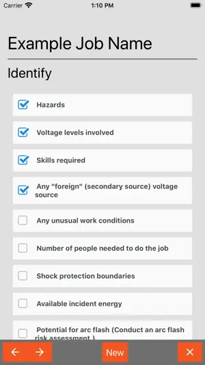 Electrical Risk Checklist NTT screenshot 4