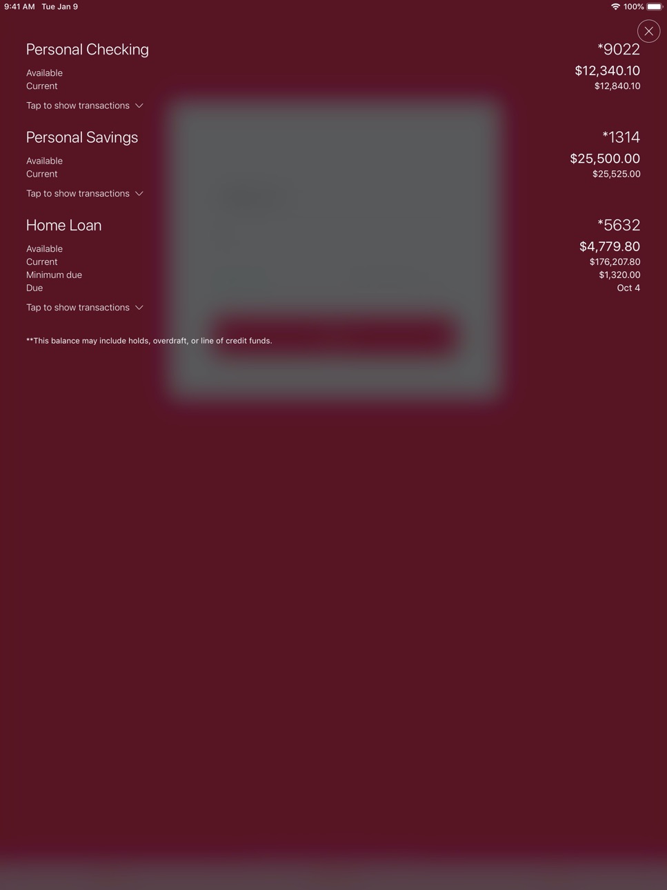 iPad screenshot