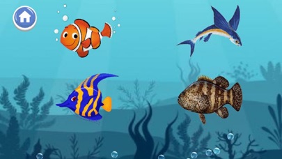 A to Z Aquatic Animals screenshot 4