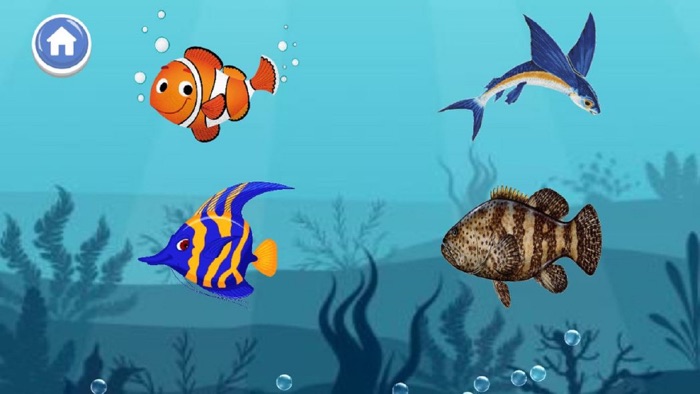 A to Z Aquatic Animals