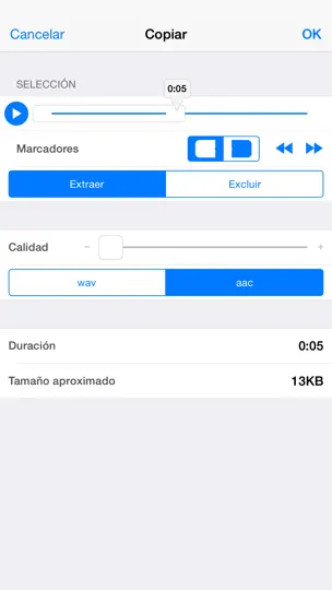 Captura de pantalla de Audio Memos Pro en iPhone 3