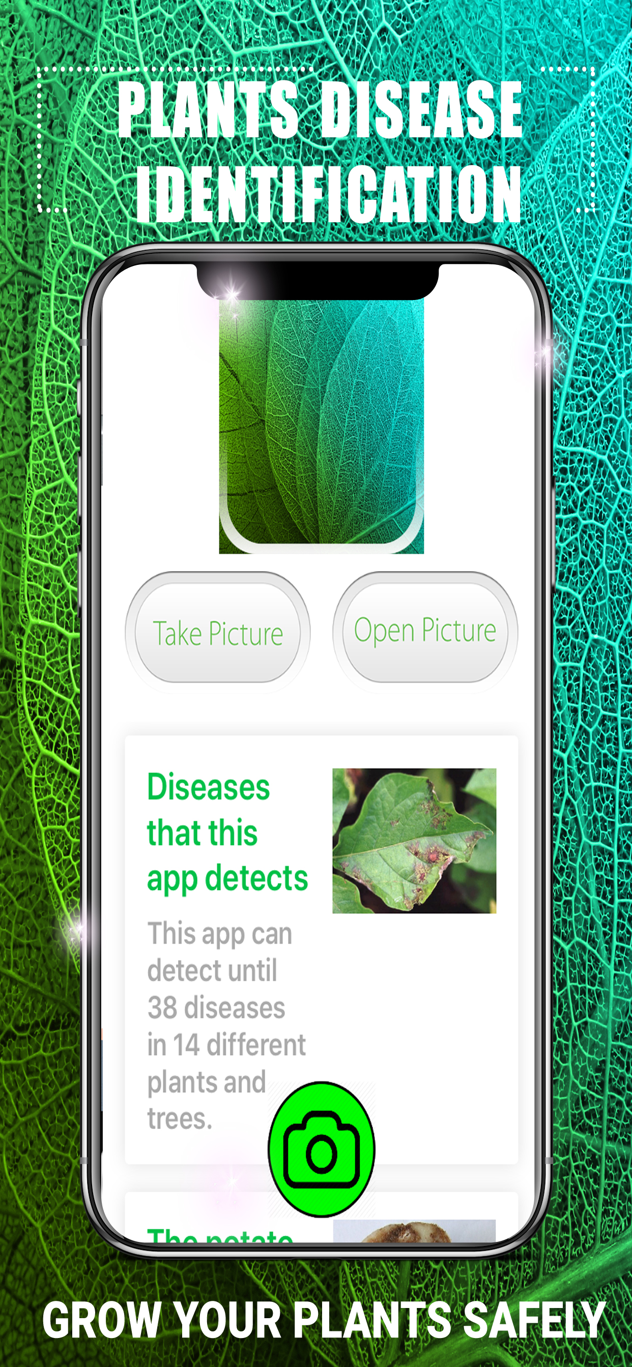 Plants Disease Identification