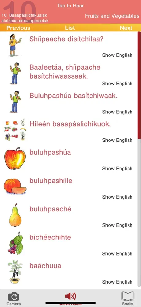 Lakota Media Player