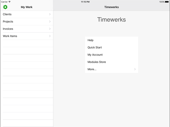 Timewerks: Mobile Billing iPad screenshot 1 - Business app