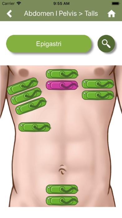 EcoAPp Screenshot
