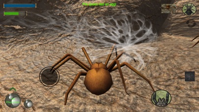 Spider Colony Simulatorのおすすめ画像1