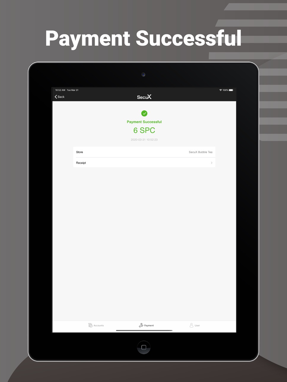 iPad screenshot
