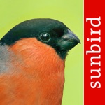 Download Bird Id - Garden Birds Germany app