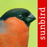 Bird Id  logo