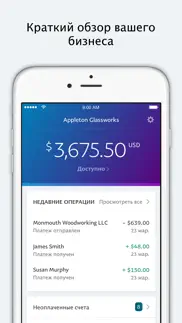 paypal business айфон картинки 1