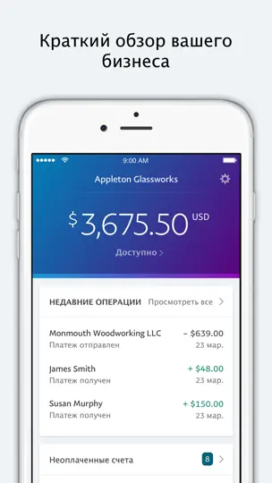 Скриншот PayPal Business на iPhone 1