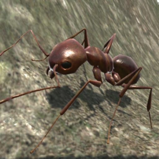 Ant Simulation 3D iOS App