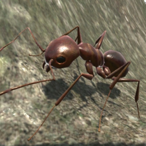 Ant Simulation 3D Icon