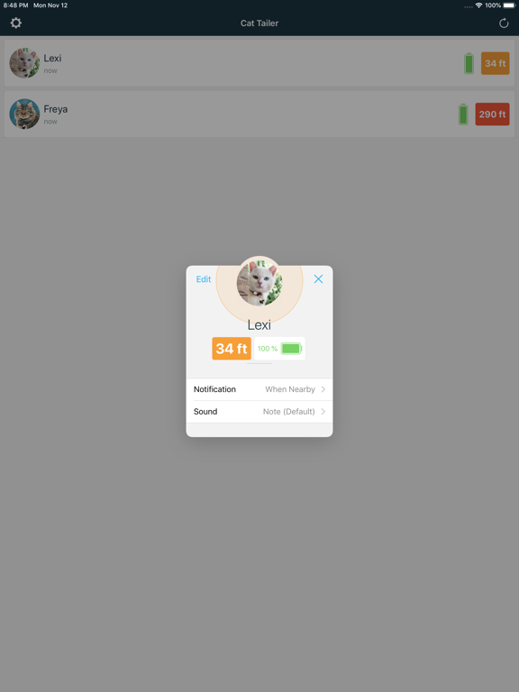 Cat Tailer iPad screenshot 2 - Lifestyle app