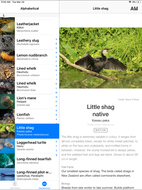 Screenshot #6 pour New Zealand Marine Life