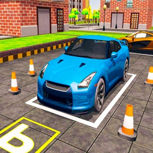 Please Back A Car Manual!