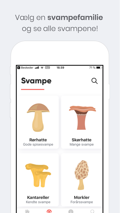 Shroomi - Danske Svampe Screenshot