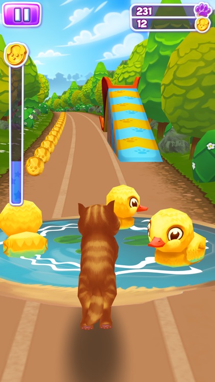 Pet Run - Puppy Dog game screenshot-3