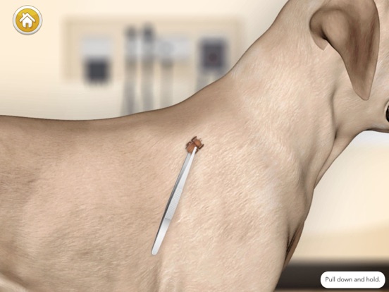 Dog Games: Pet Vet Doctor Care iPad app afbeelding 3