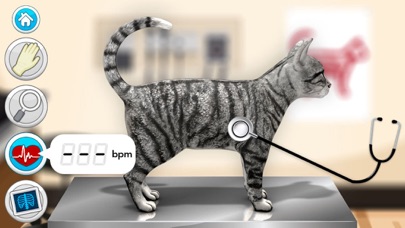 Doctor Games: Pet Vet Cat Care Screenshot