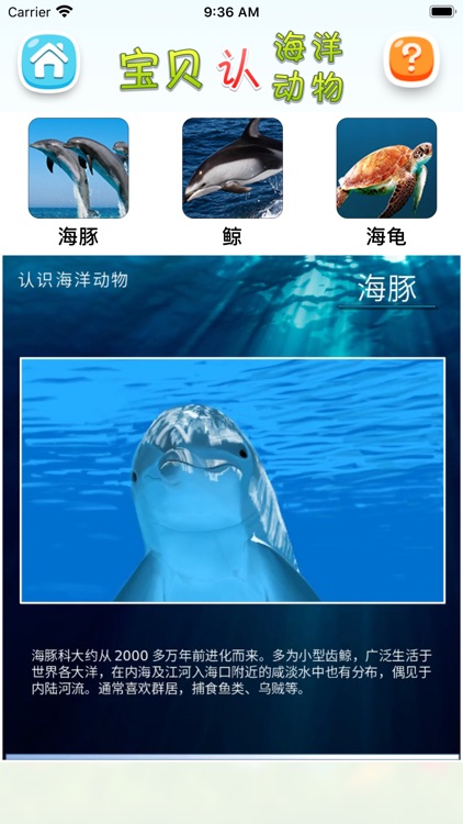 认海洋动物