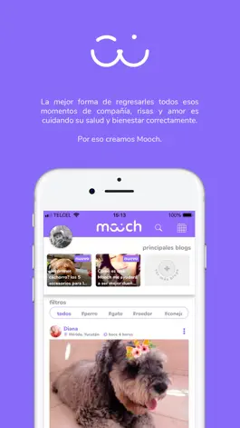 Game screenshot Mooch mod apk