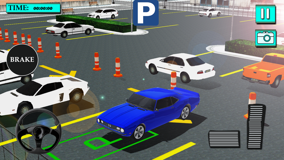 Valet Car Parking Games - 1.4 - (iOS)