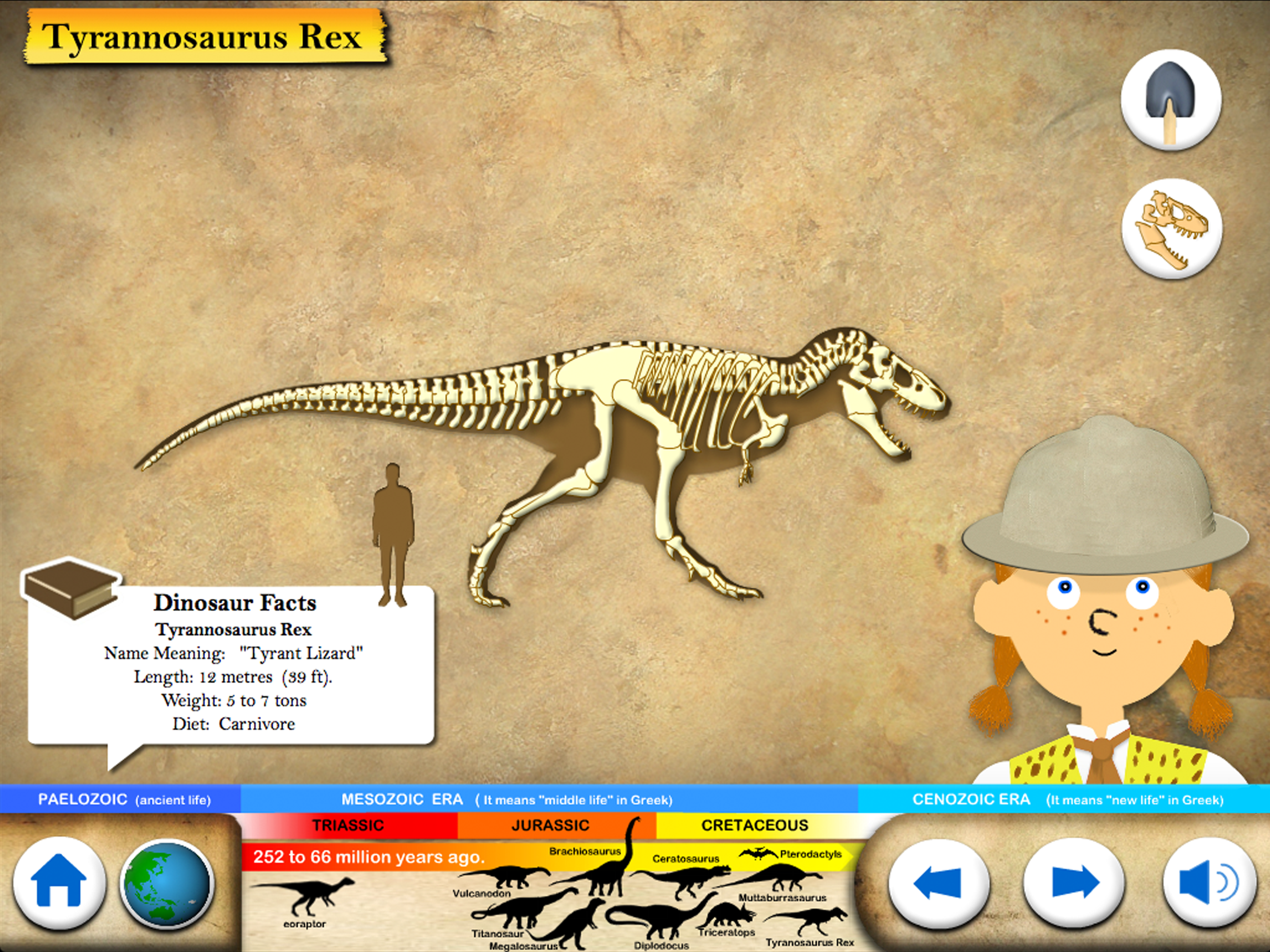 Dinosaur & Fossils for kids screenshot 7