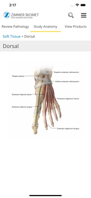Foot & Ankle - Zimmer Biomet(圖4)-速報App