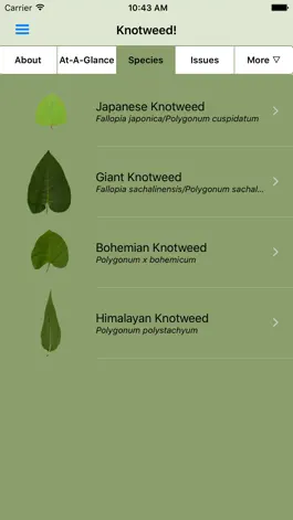 Game screenshot Knotweed! apk