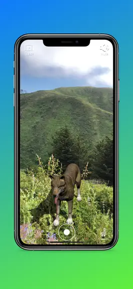 Game screenshot Animal Safari AR - 3D Learning hack